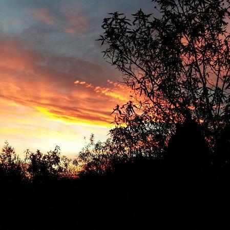 Parque Forestal de Valdebernardo